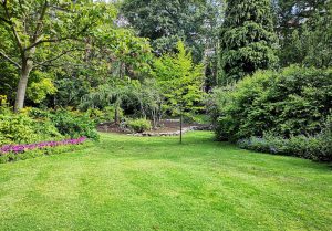 Optimiser l'expérience du jardin à Blies-Ebersing